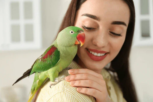 Keeping Pet Birds Cool & Happy in Summer