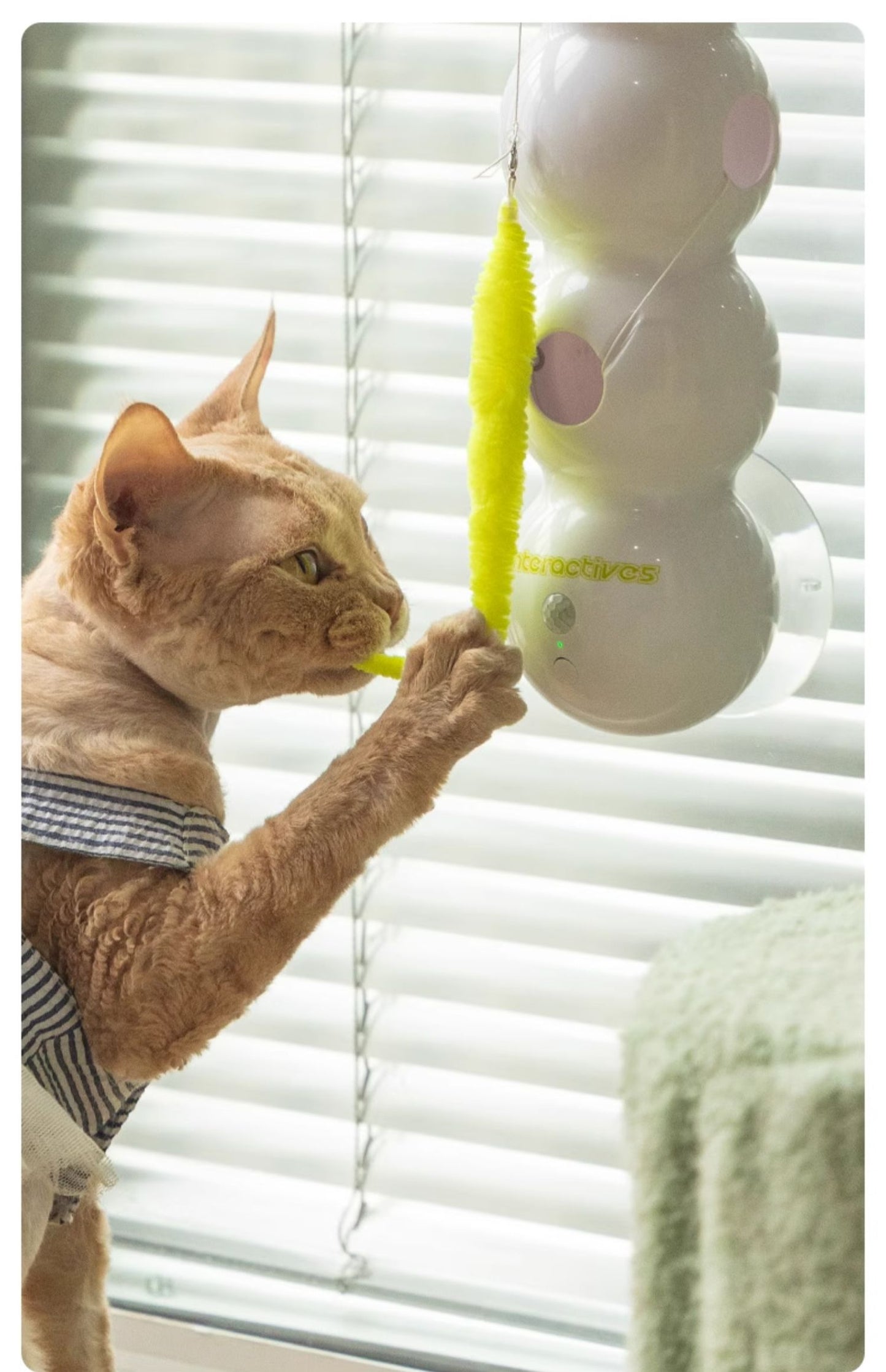 Worm Chasing Smart Sensor Caterpillar Cat Toy Automatic Teasing Wand