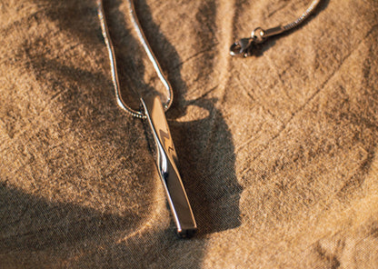 Pet Memorial Jewelry - Custom Paw Print & Hair Keepsake Pendant