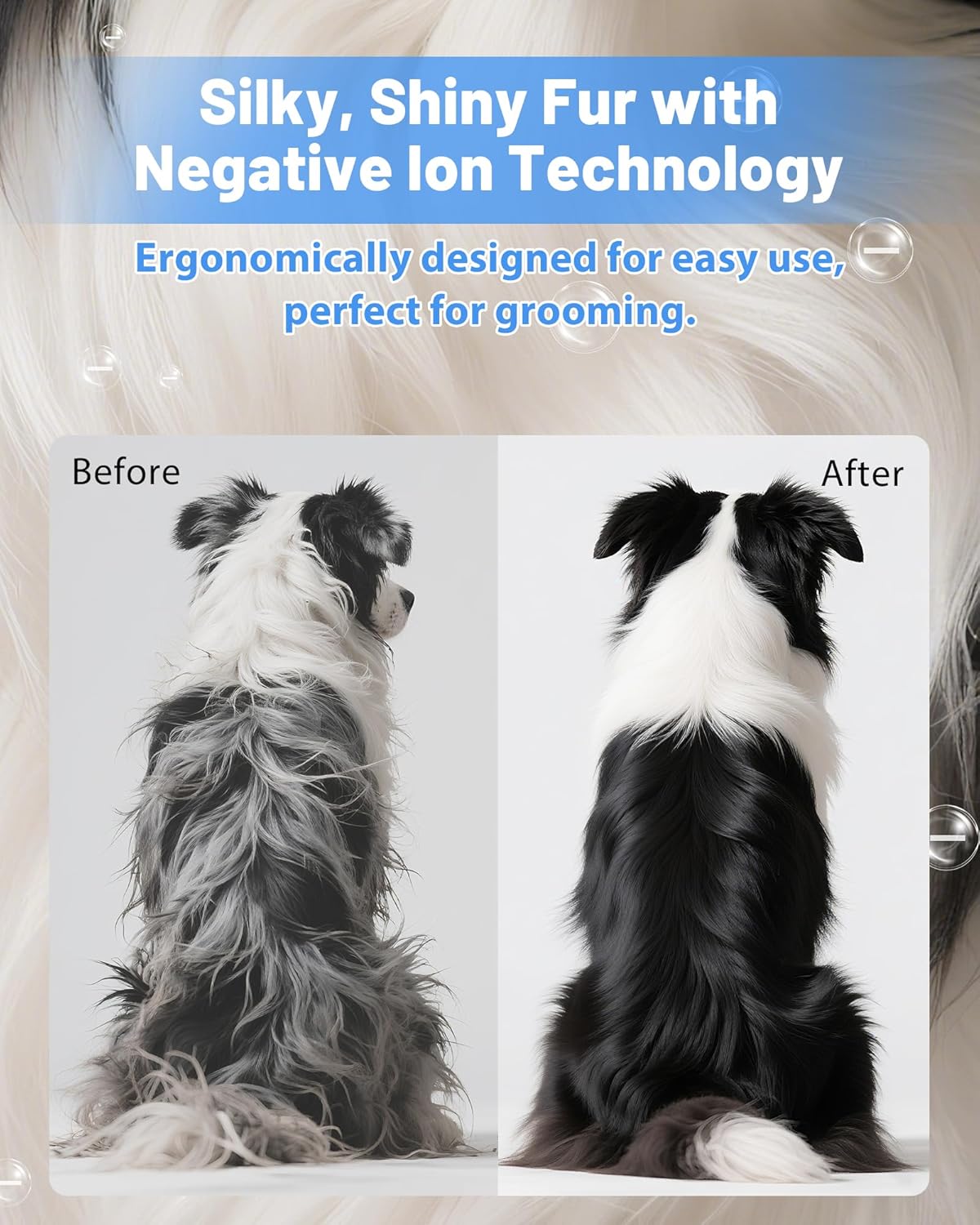 Hands-Free Pet Dryer: Low-Noise & 2X Faster Drying