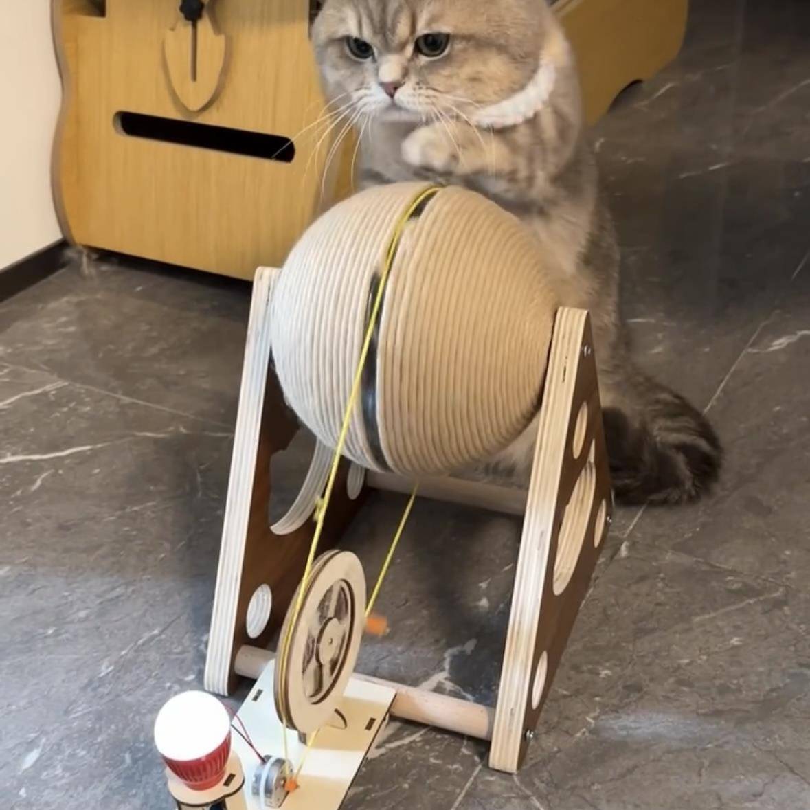 Interactive Power-Generating Cat Scratcher