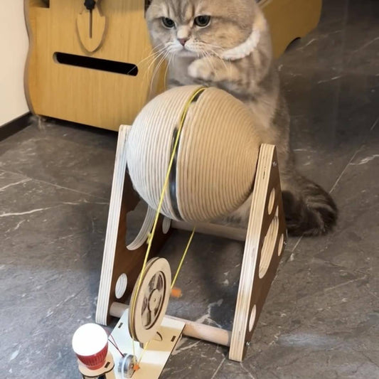 Interactive Power-Generating Cat Scratcher
