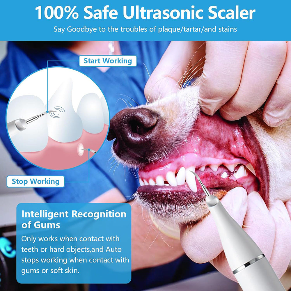 Portable Pet Teeth Cleaner USB Charge LED Light Home Use