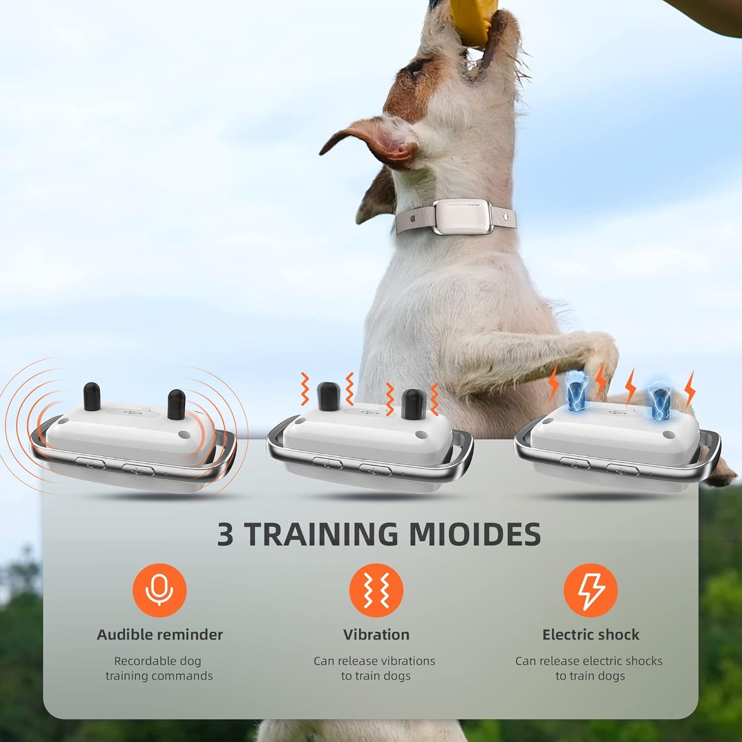 SmartTrain Pro System: 16-Level Remote Trainer
