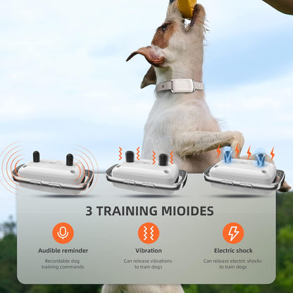 SmartTrain Pro System: 16-Level Remote Trainer
