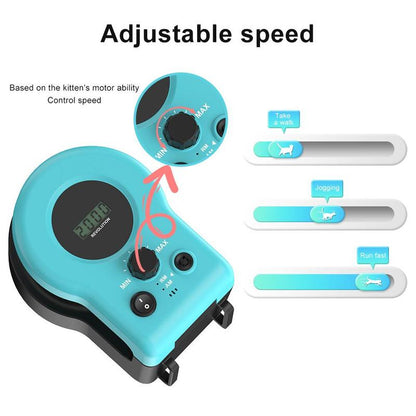 Interactive Cat Hunting Toy