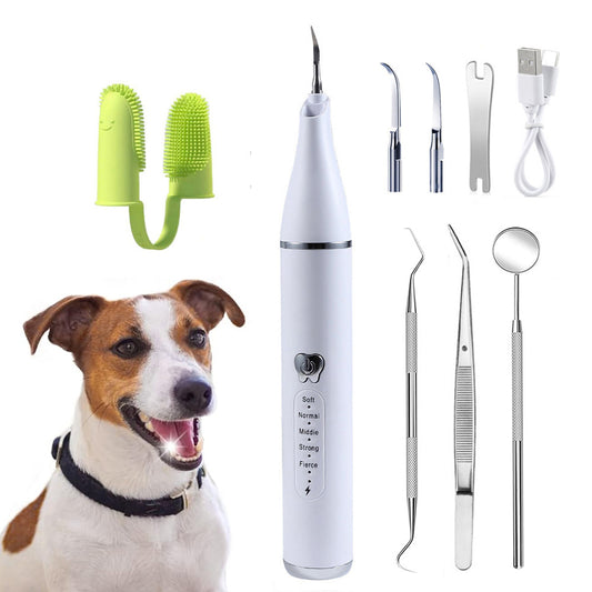 Portable Pet Teeth Cleaner USB Charge LED Light Home Use