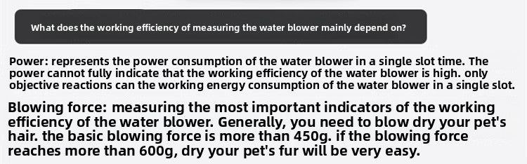 ProGroom Dual-Motor Pet Dryer