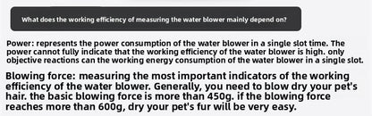 ProGroom Dual-Motor Pet Dryer