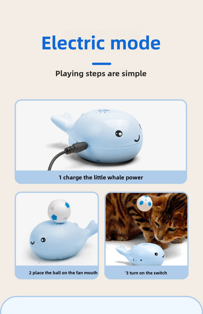 WhaleMotion Floating Ball Cat Toy