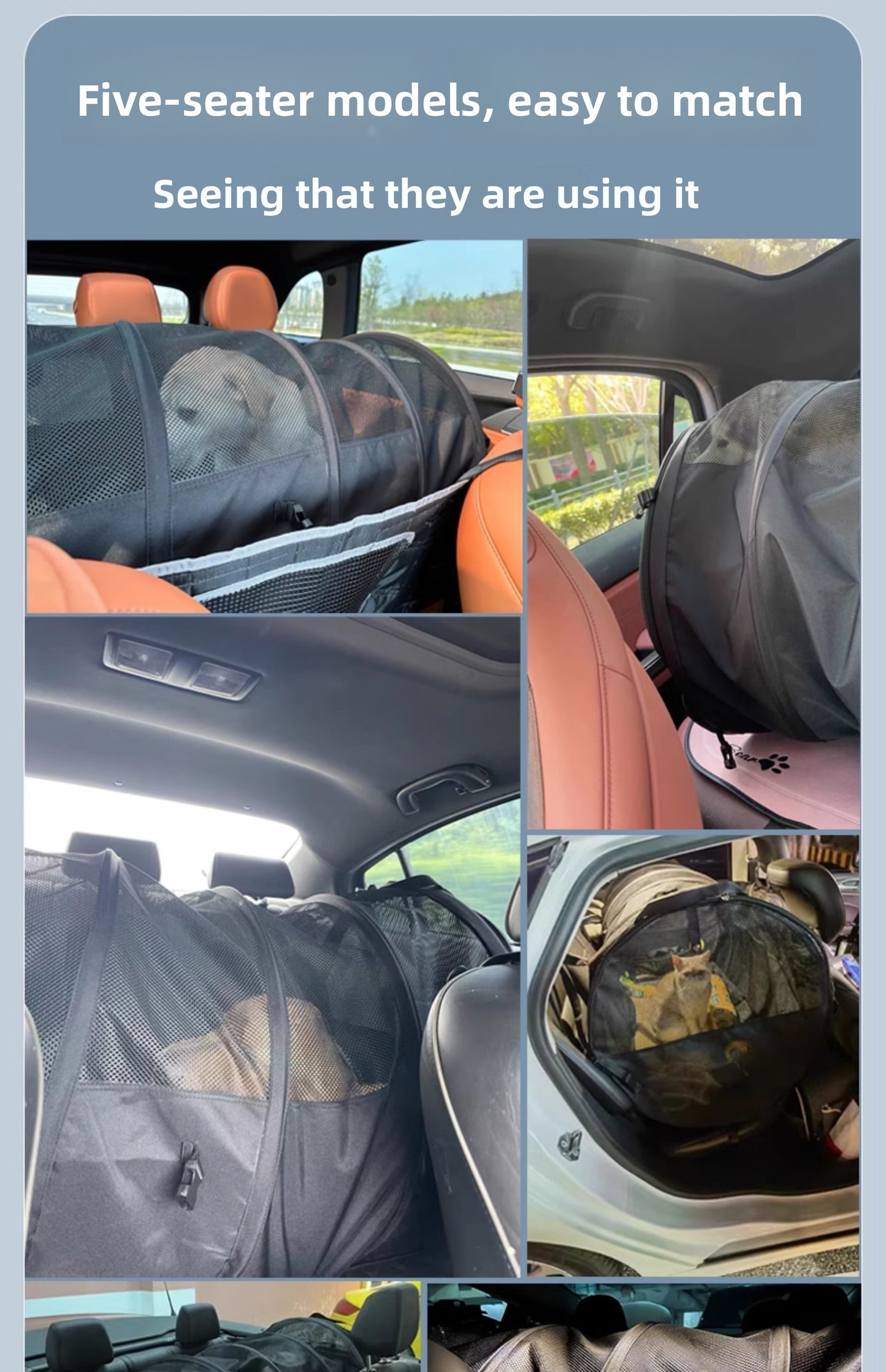 Car Cat Dog Car Cage out Large Golden Retriever Car Cage