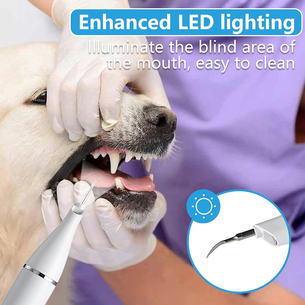 Portable Pet Teeth Cleaner USB Charge LED Light Home Use