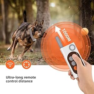 SmartTrain Pro System: 16-Level Remote Trainer