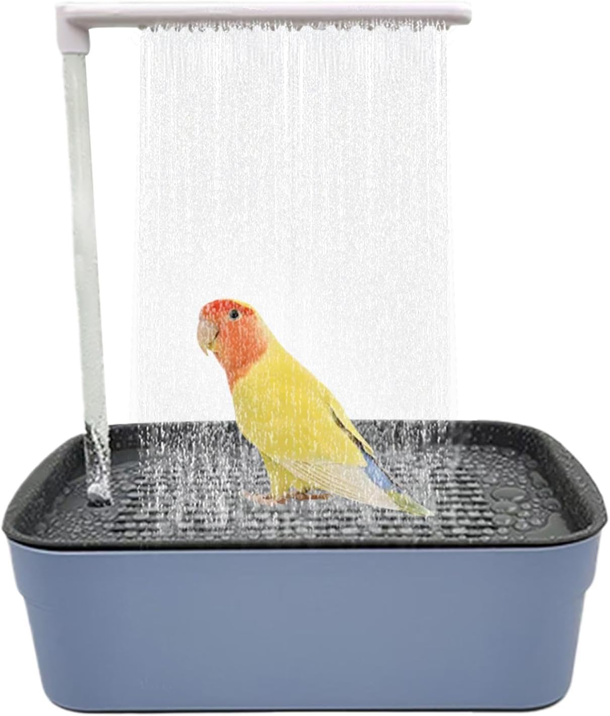 Self-Cleaning Bird Bather with 180° Gentle Spray