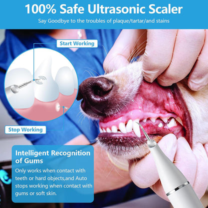 Portable Pet Teeth Cleaner USB Charge LED Light Home Use