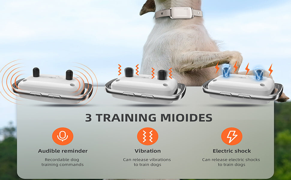 SmartTrain Pro System: 16-Level Remote Trainer