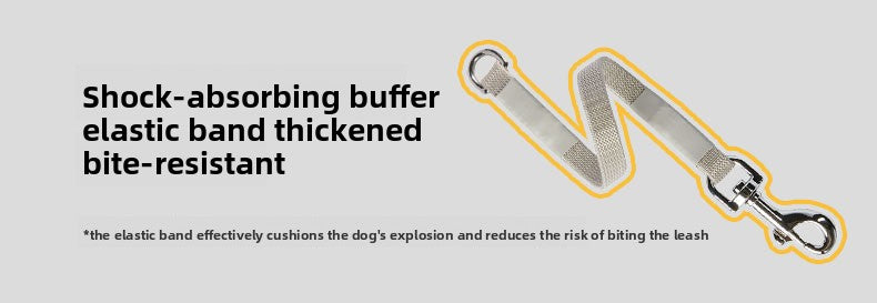 Automatic Retractable Dog Leash