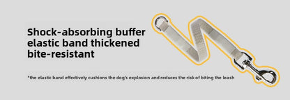 Automatic Retractable Dog Leash