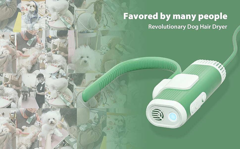 Hands-Free Pet Dryer: Low-Noise & 2X Faster Drying