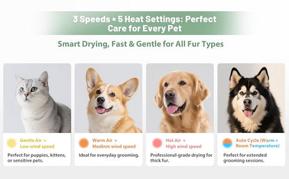 Hands-Free Pet Dryer: Low-Noise & 2X Faster Drying