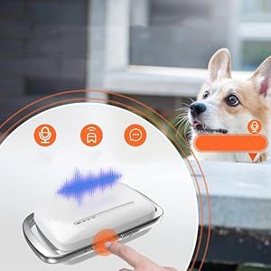 SmartTrain Pro System: 16-Level Remote Trainer