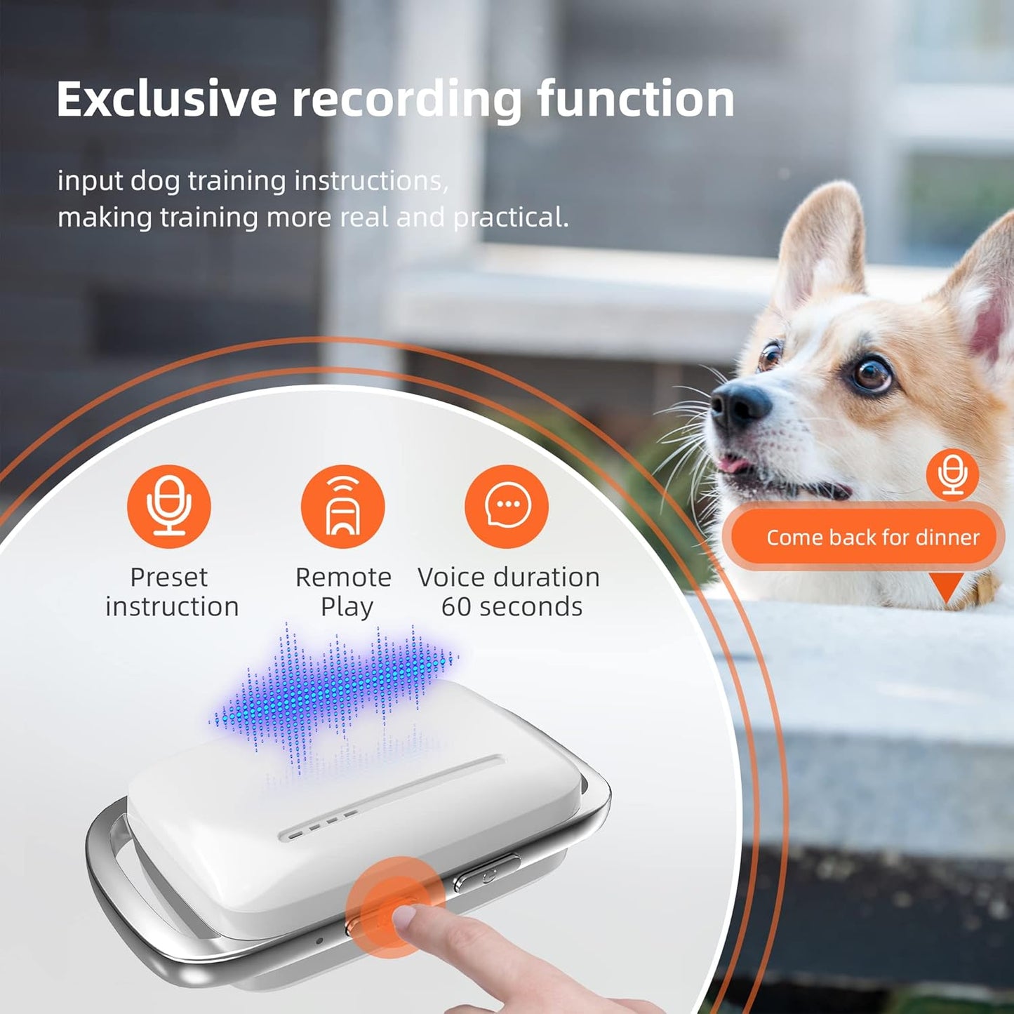 SmartTrain Pro System: 16-Level Remote Trainer