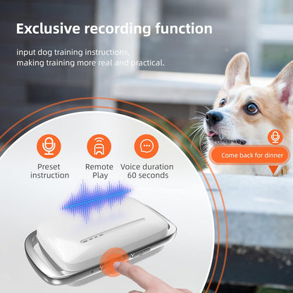 SmartTrain Pro System: 16-Level Remote Trainer