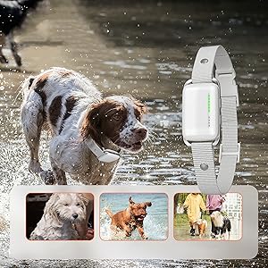 SmartTrain Pro System: 16-Level Remote Trainer