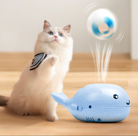 WhaleMotion Floating Ball Cat Toy