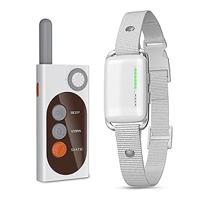 SmartTrain Pro System: 16-Level Remote Trainer